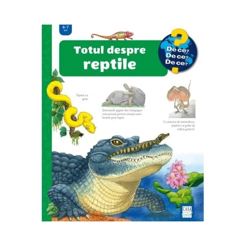 grupdzc-5202609190659042691084