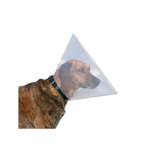 grupdzc-5202609191559332765826