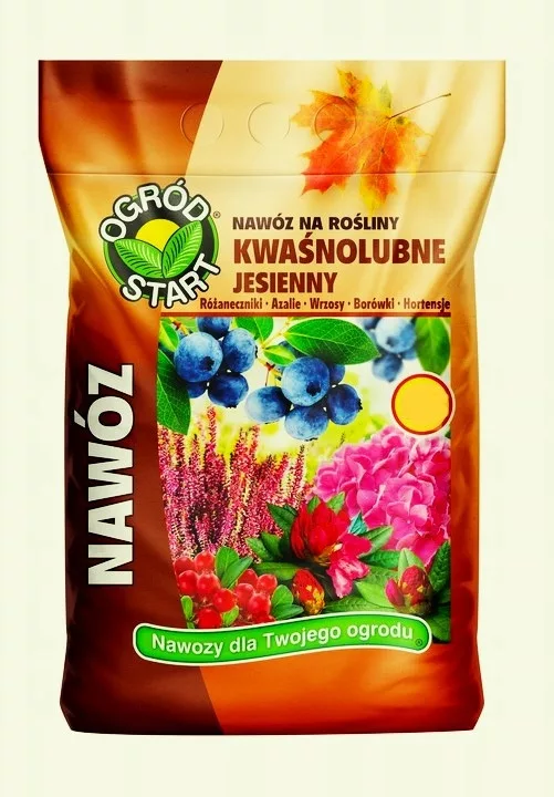 kamenik-4202609171421072352872
