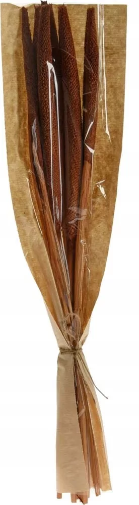 kamenik-4202609201009502947765