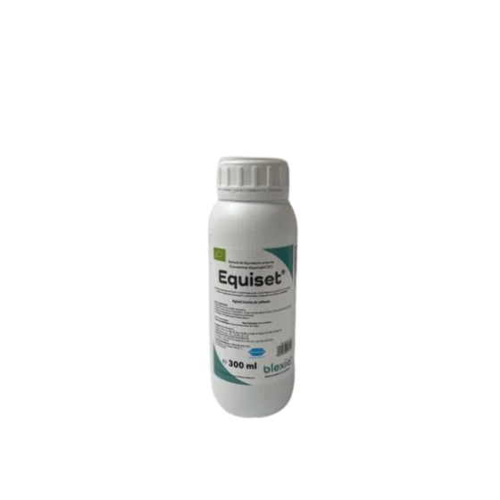 marketall202609161922482224917