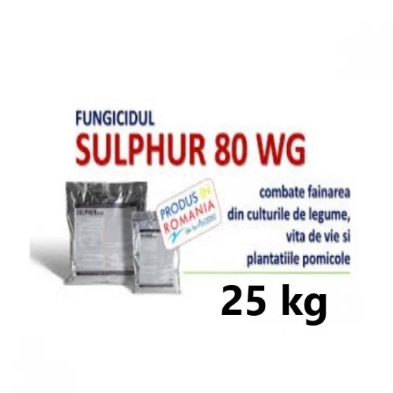 marketall202609162034082235123