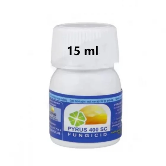 marketall202609162035502235366