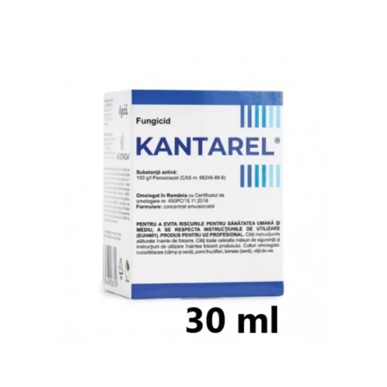 marketall202609162037032235539