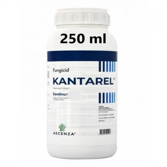 marketall202609162040562236137