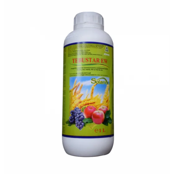 marketall202609162207552249024