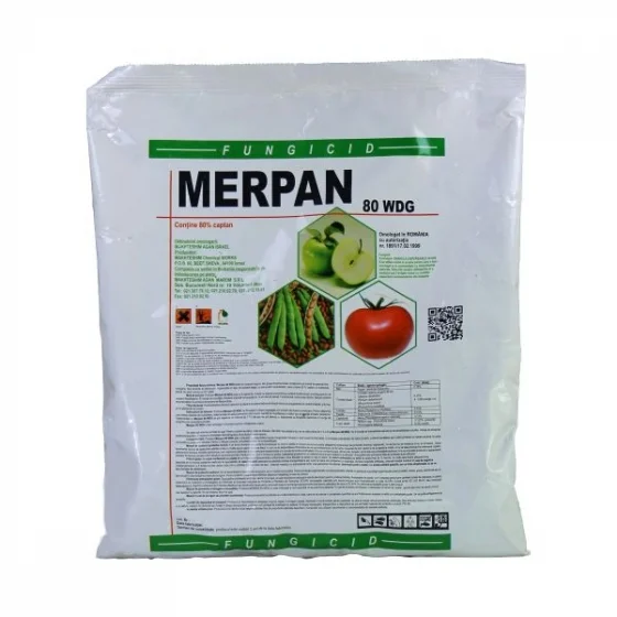 marketall202609162317472258083