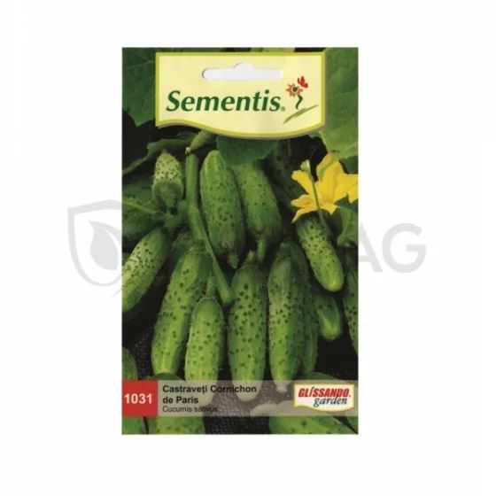 marketall202609170112442272577