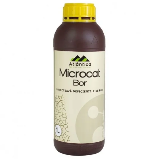 marketall202609170123112273909