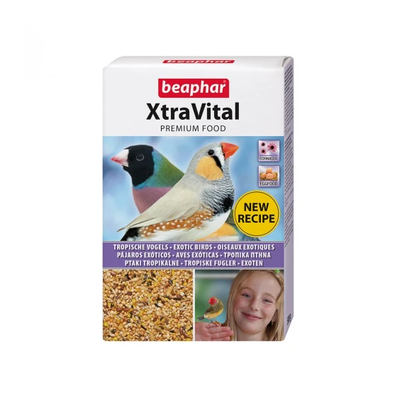 marketall202609171850202381177