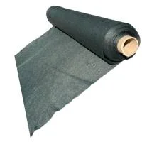 miculmester202609170040482268356