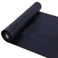 miculmester202609170050042269606
