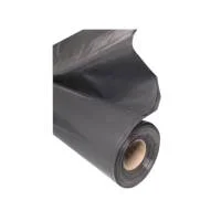 miculmester202609170619592309958