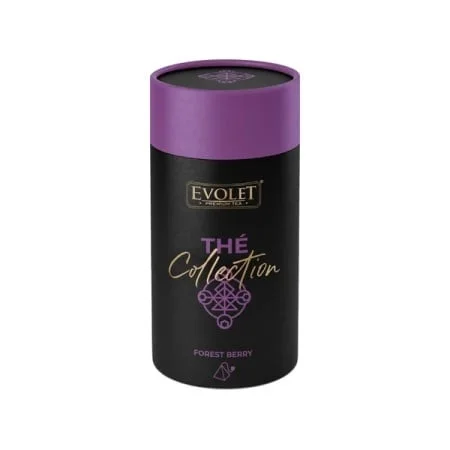 outlet-ieftin202609171537082360912
